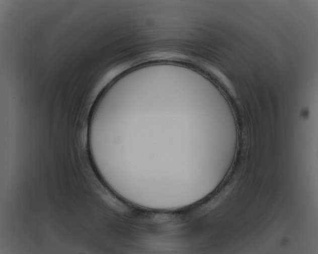 X0000096701322200802051052