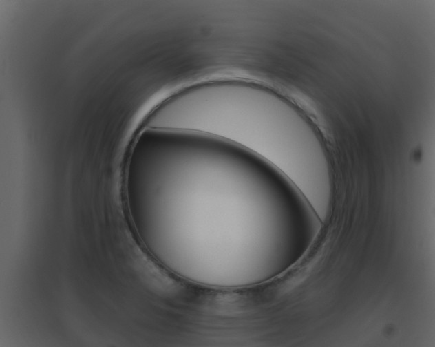 X0000096701326200802051052