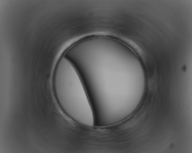 X0000096701327200802051052