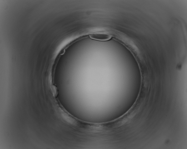 X0000096701328200802051052