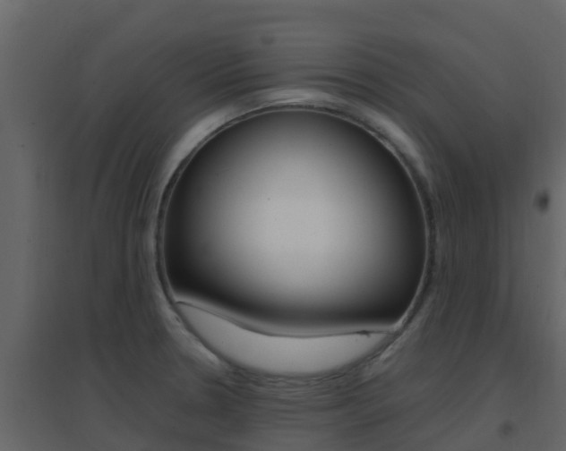 X0000096701330200802051052