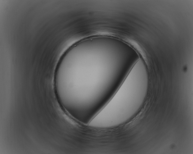 X0000096701331200802051052