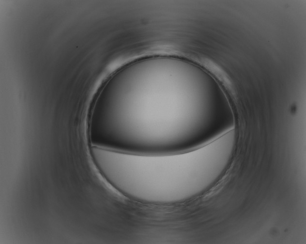X0000096701334200802051052
