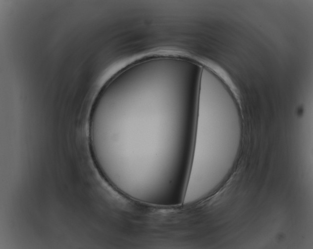 X0000096701335200802051052