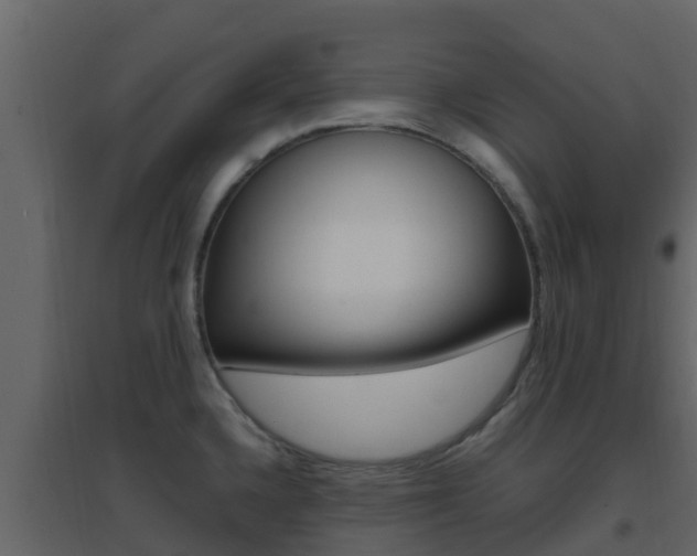 X0000096701336200802051052