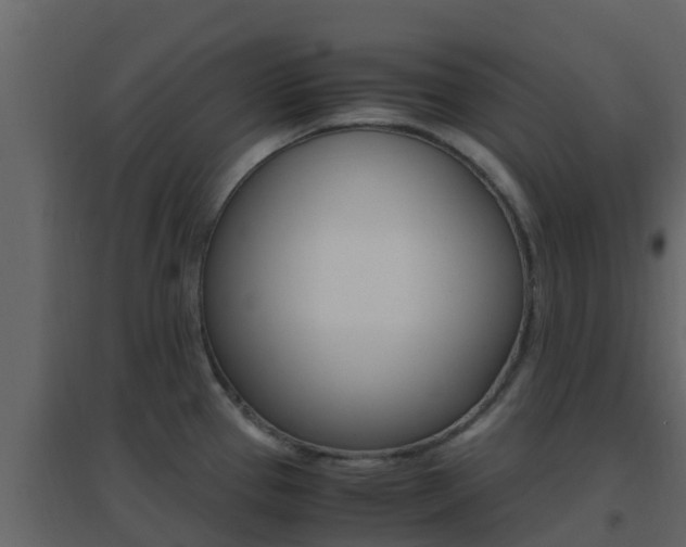 X0000096701337200802051052