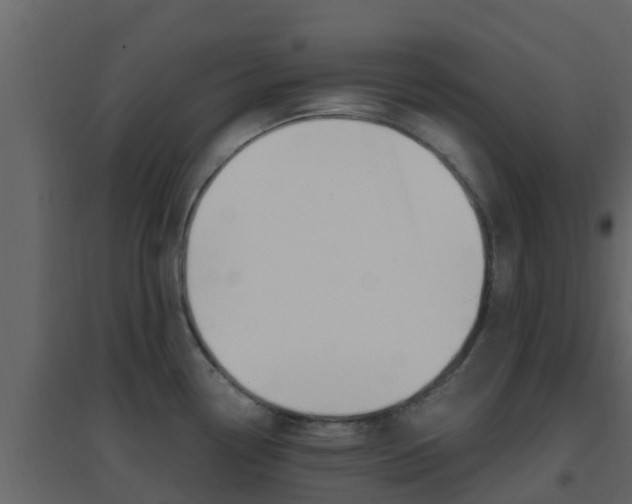 X0000096701338200802051052