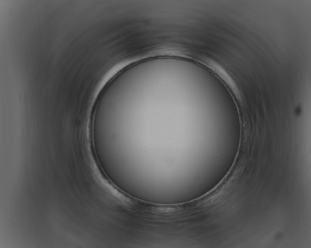 X0000096701339200802051052