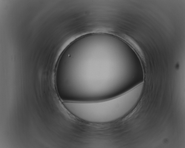 X0000096701340200802051052