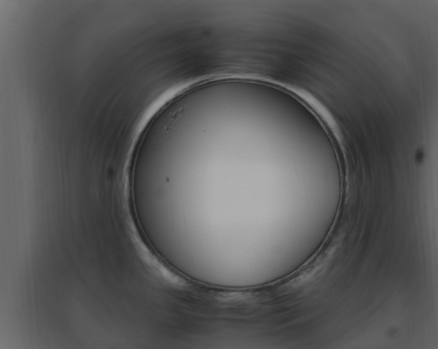 X0000096701341200802051052