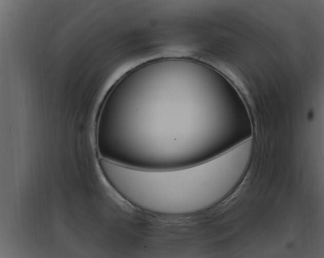 X0000096701342200802051052