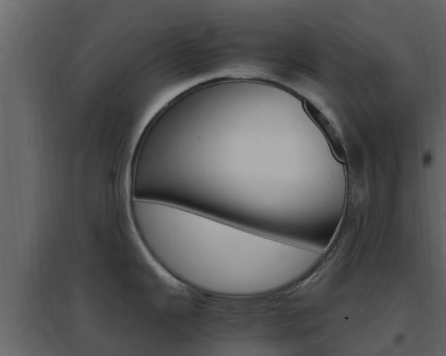 X0000096701343200802051052
