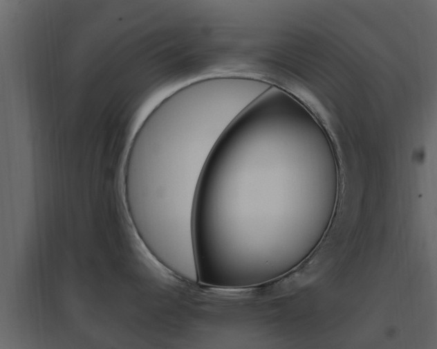 X0000096701344200802051052