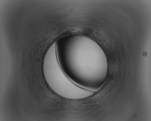 X0000096701345200802051051
