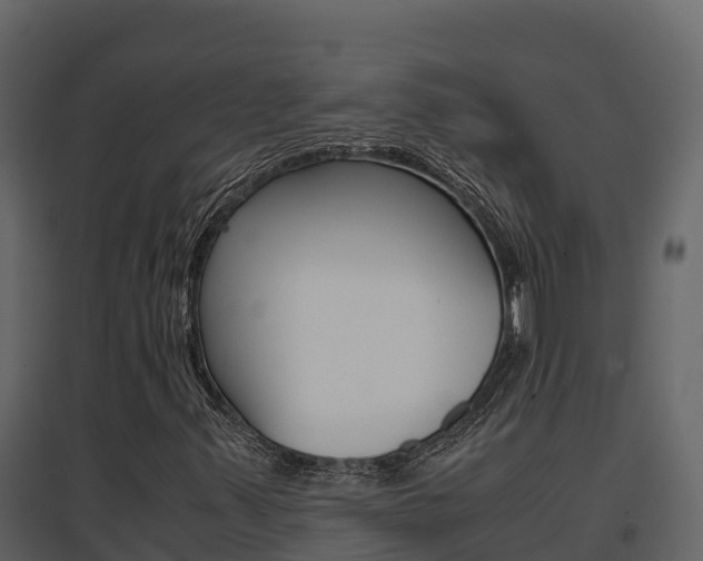 X0000096701347200802051051