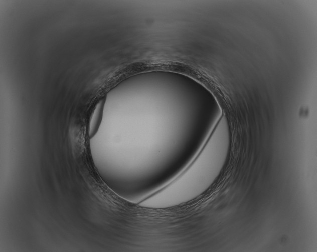 X0000096701348200802051051