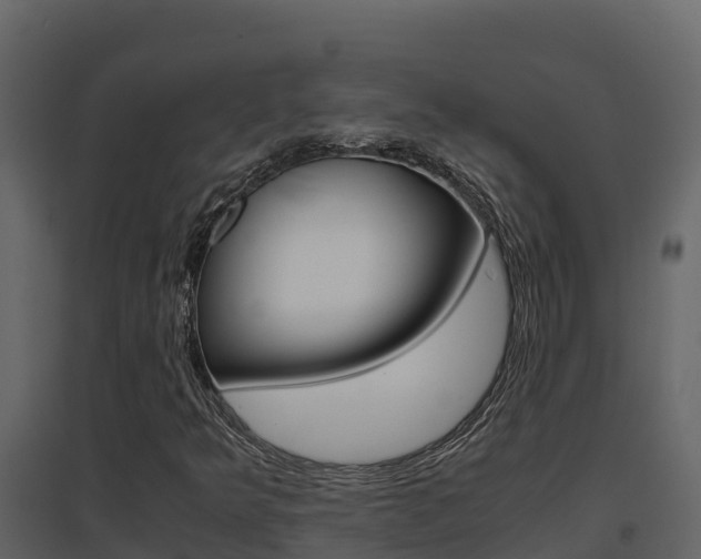 X0000096701349200802051051