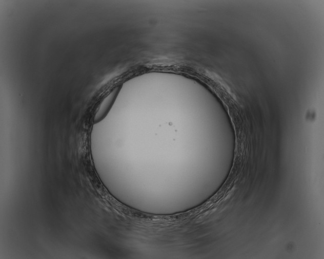 X0000096701350200802051051