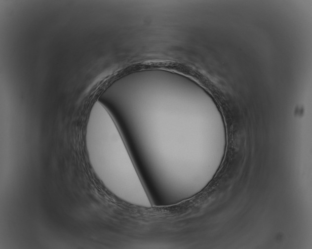 X0000096701351200802051051