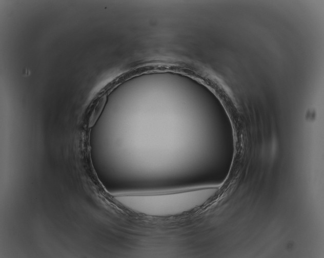 X0000096701352200802051051