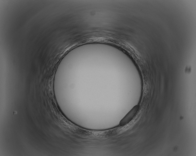 X0000096701353200802051051