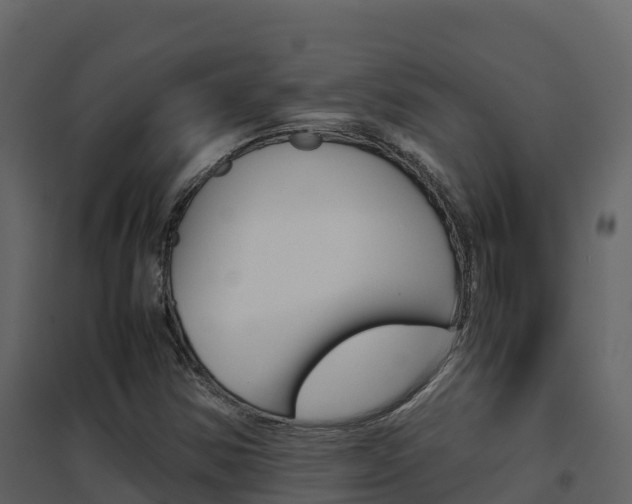 X0000096701354200802051051