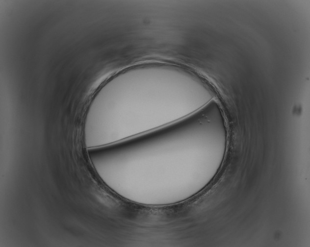 X0000096701355200802051051