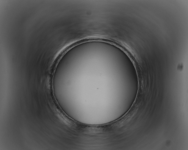 X0000096701356200802051051