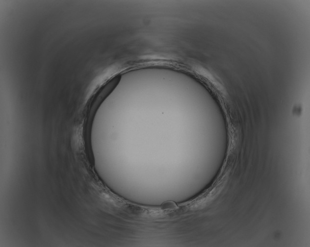 X0000096701357200802051051
