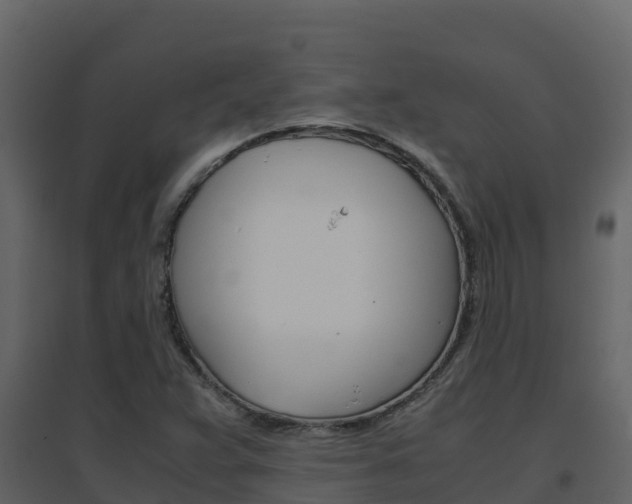 X0000096701359200802051051