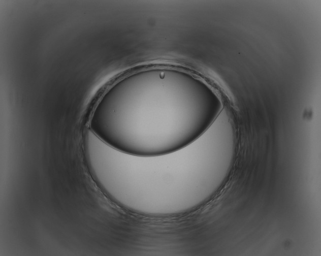 X0000096701360200802051051