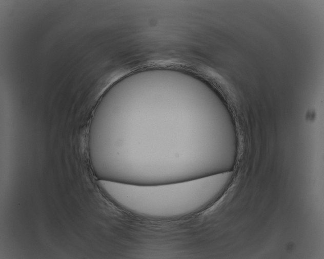 X0000096701361200802051051