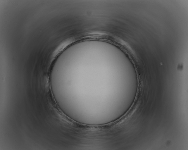 X0000096701362200802051051