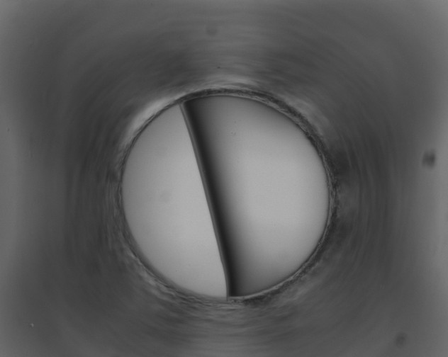 X0000096701363200802051051