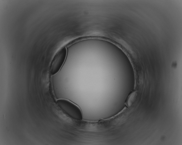 X0000096701364200802051051