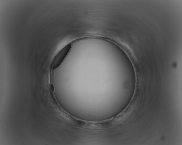 X0000096701365200802051051