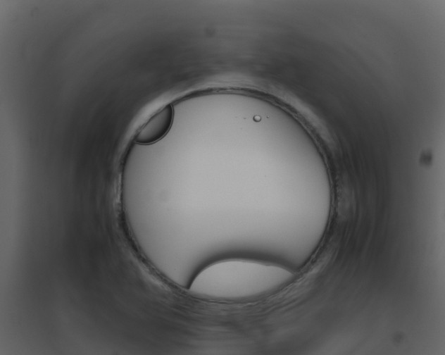 X0000096701366200802051051