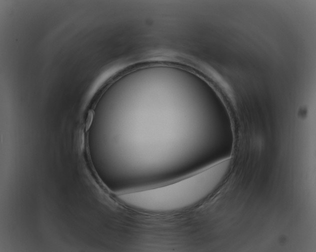 X0000096701368200802051051