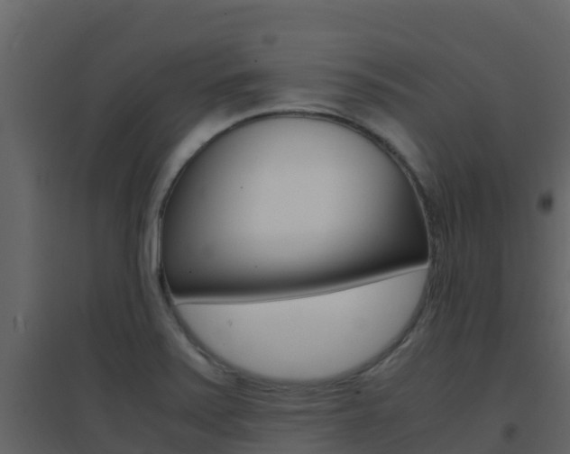X0000096701371200802051051