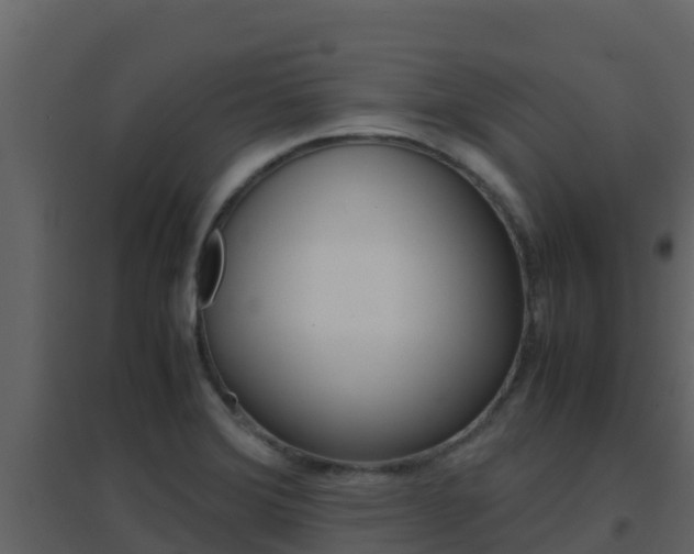 X0000096701372200802051051