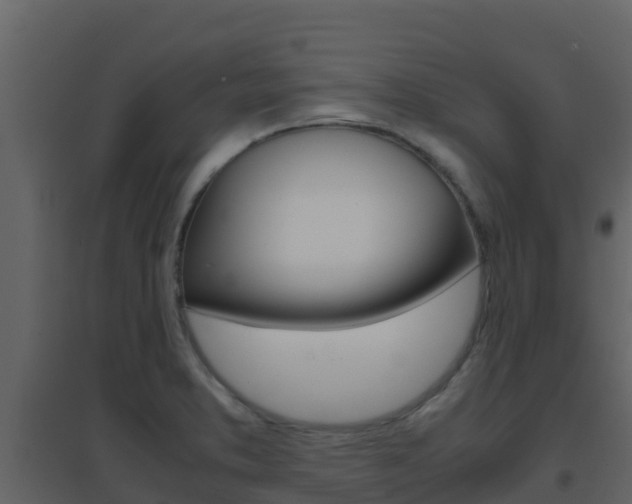 X0000096701373200802051051