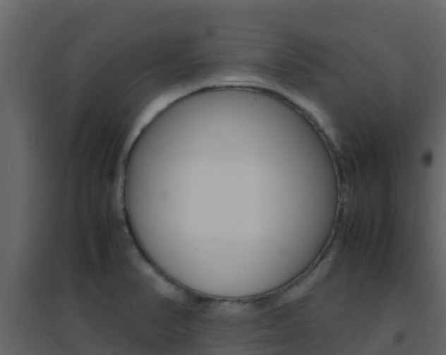 X0000096701374200802051051
