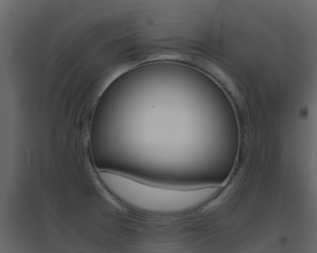 X0000096701377200802051051