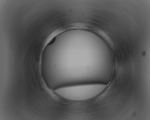 X0000096701378200802051051