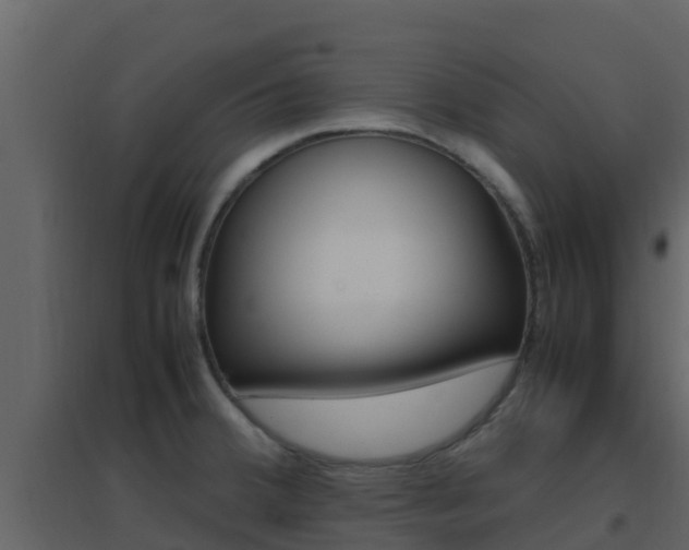 X0000096701380200802051051