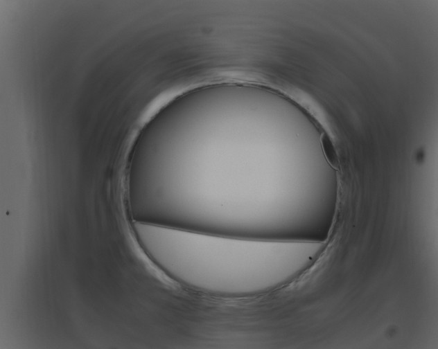 X0000096701381200802051051