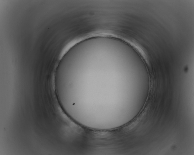 X0000096701382200802051051
