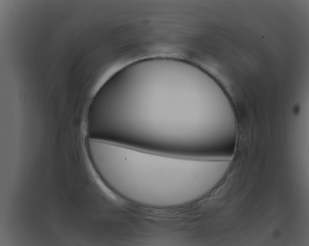 X0000096701383200802051051