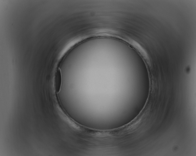 X0000096701384200802051051