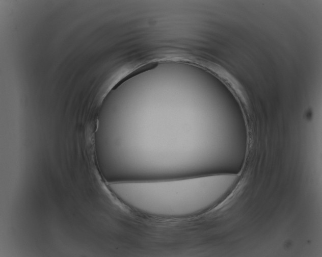 X0000096701385200802051051